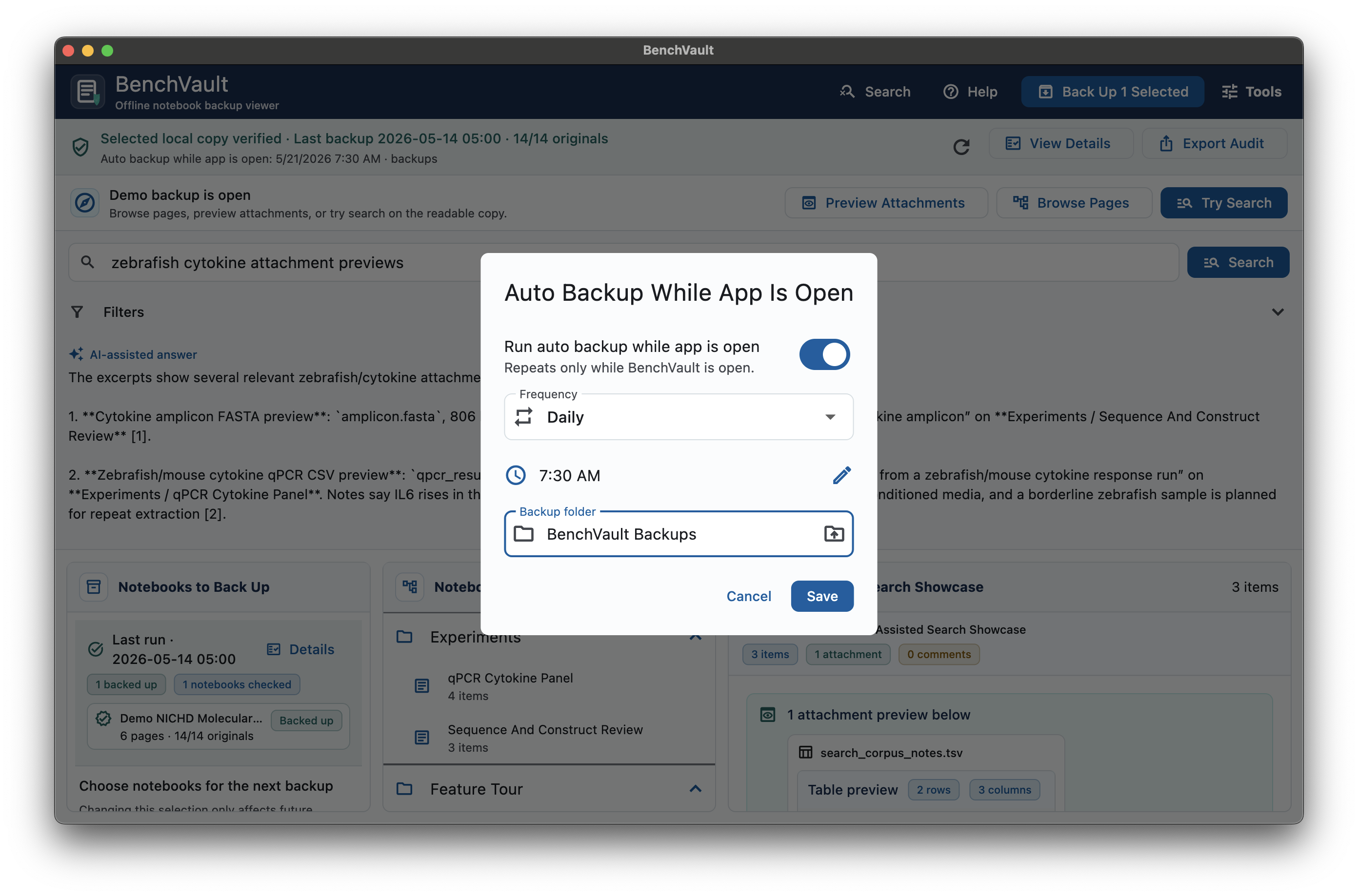 BenchVault automatic backup schedule settings
